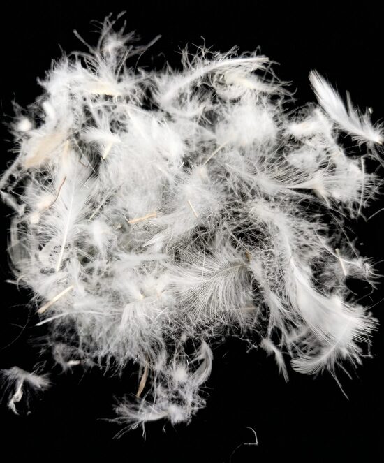 Feather mix 30/70, 100g